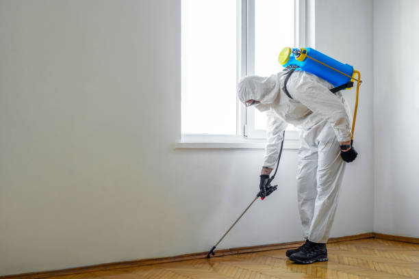 Pest Prevention Services in Mayflower Village, CA